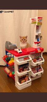 Screenshot_20220520_144106_com.twitter.android.jpg Screenshot_20220520_144106_com.twitter.android.jpg