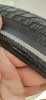 IMG_20220521_131055.jpg IMG_20220521_131055.jpg