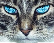 0_2603.jpg 0_2603.jpg