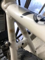 WhatsApp Image 2022-05-24 at 8.53.25 PM (1).jpeg