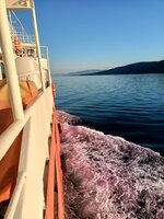 IMG20220522063926.jpg IMG20220522063926.jpg