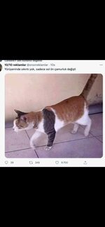 Screenshot_20220531_111809_com.whatsapp.jpg Screenshot_20220531_111809_com.whatsapp.jpg