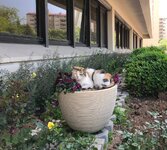 ertert.jpg ertert.jpg