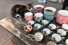 erterter.jpg erterter.jpg