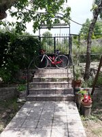 20190606_134207.jpg