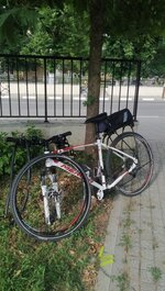 IMG_20220628_181913.jpg