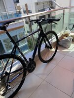 IMG_5972.jpg IMG_5972.jpg