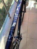 IMG_5978.jpg IMG_5978.jpg