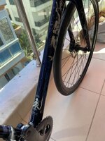 IMG_5979.jpg IMG_5979.jpg