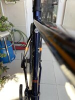 IMG_5991.jpg IMG_5991.jpg