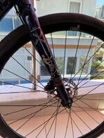 IMG-5984.jpg IMG-5984.jpg