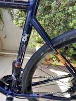 IMG-5988.jpg IMG-5988.jpg