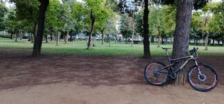 IMG_20220923_172236.jpg