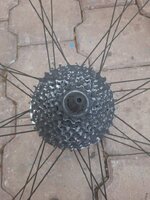 WhatsApp Image 2022-10-01 at 14.53.09.jpeg