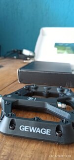 IMG_20221021_123338.jpg IMG_20221021_123338.jpg