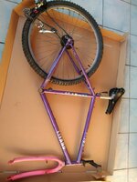 IMG_20221021_174543.jpg