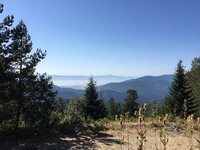 IMG_0397.JPG