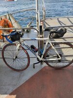 IMG_20221028_151703.jpg