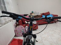 IMG_20221101_204829.jpg