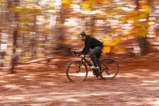 DSCF6381-Recovered copy2.jpg