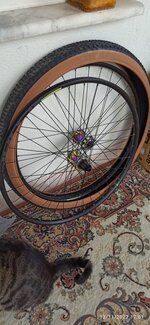 IMG_20221112_170138.jpg IMG_20221112_170138.jpg