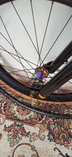 IMG_20221112_172737.jpg IMG_20221112_172737.jpg