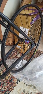 IMG_20221112_172743.jpg IMG_20221112_172743.jpg