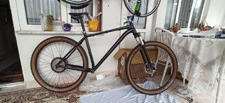 IMG_20221118_170835.jpg IMG_20221118_170835.jpg