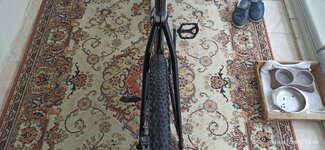 IMG_20221119_100827.jpg IMG_20221119_100827.jpg