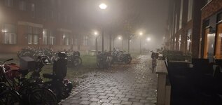 20221129_064005.jpg 20221129_064005.jpg