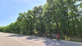 20220528_115330 (1).jpg