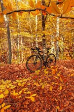 DSCF6328 copy insta_085803.jpg