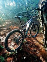 mtb-sabah.jpg
