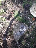 WhatsApp Image 2022-12-22 at 00.26.45.jpeg