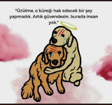 1674457529418.png