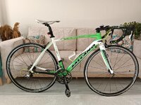 WhatsApp Image 2023-01-22 at 08.27.12.jpeg