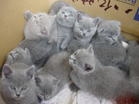 unnamed (13).jpg unnamed (13).jpg