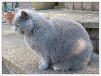 unnamed (14).jpg unnamed (14).jpg