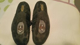 20150810_220536_resized.jpg