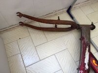 IMG_1503.jpg