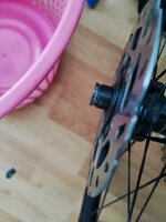 WhatsApp Image 2023-02-07 at 17.19.02.jpeg