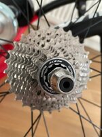 WhatsApp Image 2023-02-15 at 09.01.57.jpeg