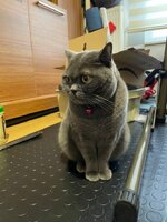 WhatsApp Image 2023-02-21 at 10.10.32.jpeg WhatsApp Image 2023-02-21 at 10.10.32.jpeg