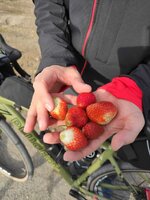 IMG-20230118-WA0006.jpg IMG-20230118-WA0006.jpg