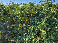 20230119_122556.jpg 20230119_122556.jpg