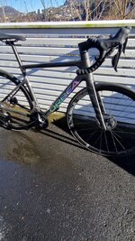 WhatsApp Image 2023-03-18 at 13.25.37.jpeg