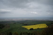 DSCF2565.jpg DSCF2565.jpg