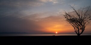 DSCF2695.jpg DSCF2695.jpg