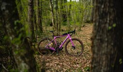 WhatsApp Image 2023-04-03 at 09.54.29 (1).jpeg