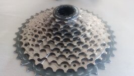 IMG_20230408_160728_403.jpg IMG_20230408_160728_403.jpg